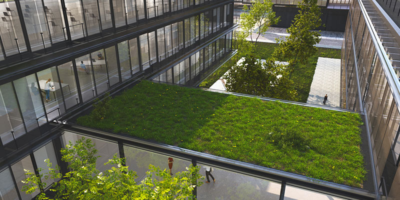 Key Principles of Green Engineering in Construction